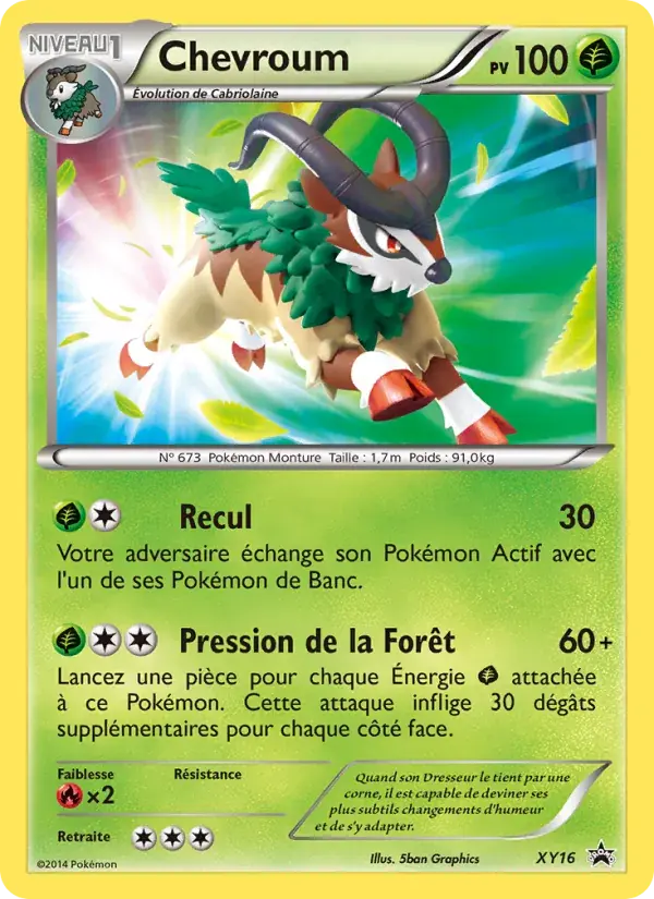 Chevroum - XY16/216 - Promo XY
