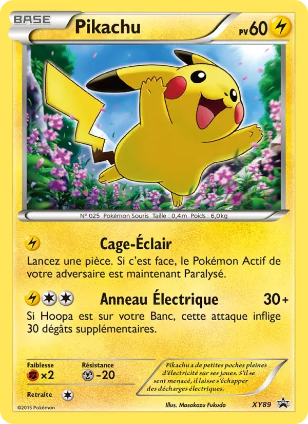 Pikachu - XY89/216 - Promo XY